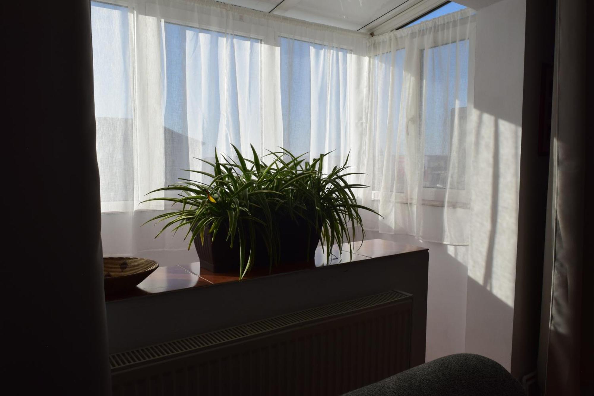 Apartament Simina Тимишоара Екстериор снимка